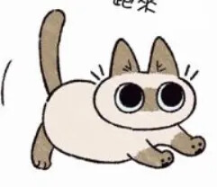 暹罗猫表情包