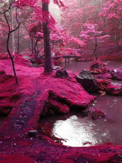 Moss Bridges（莫斯桥）。爱尔兰