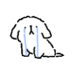 马尔济斯线条修狗