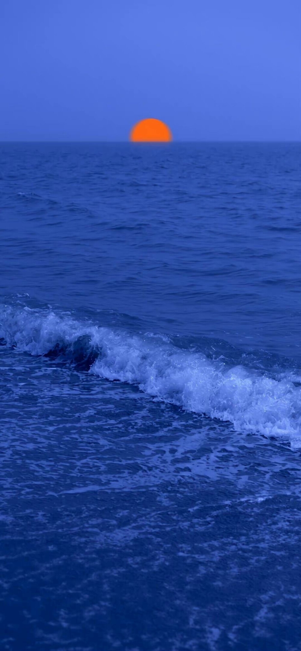 大海 背景 浪漫