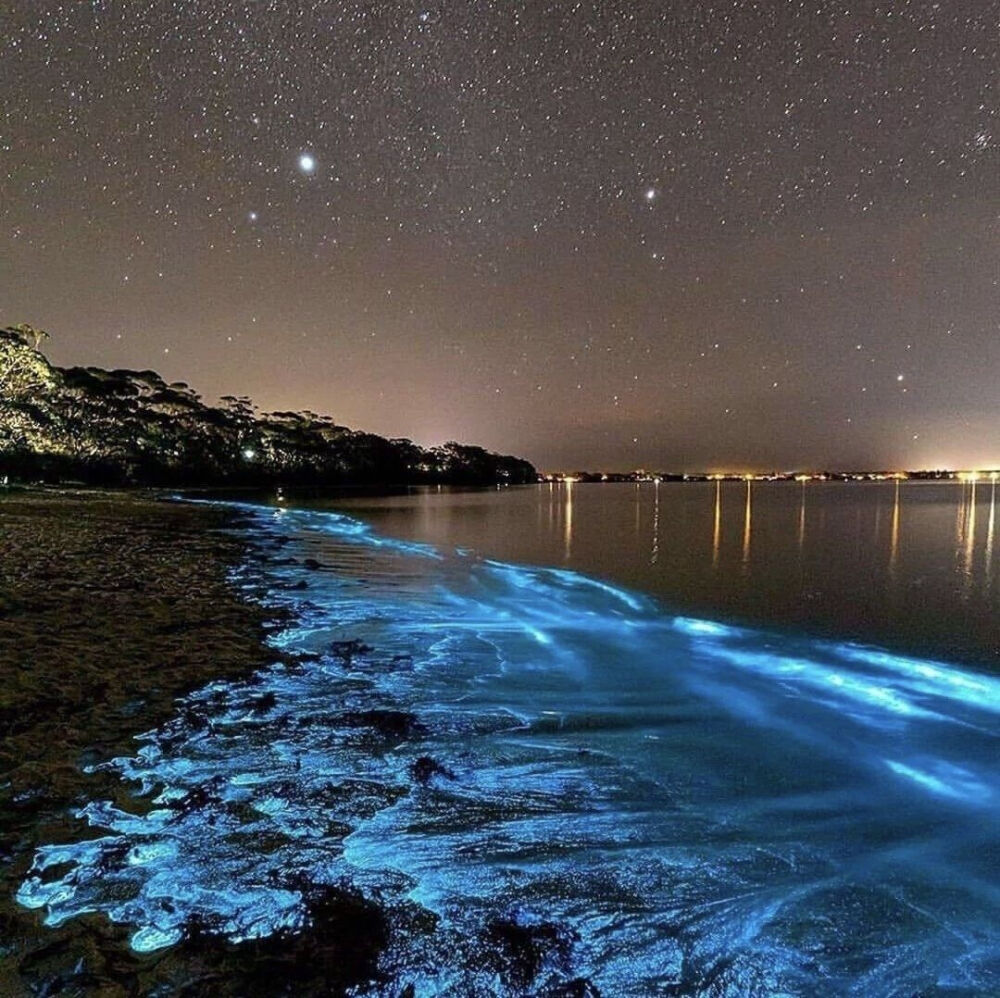 大海 背景 浪漫