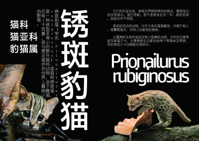 艺术设计三期末作业排版