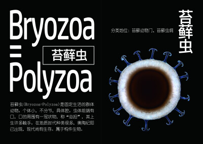 艺术设计三期末作业排版