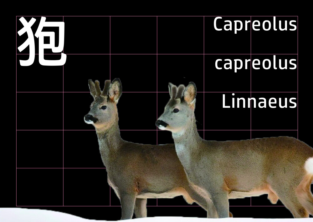 艺术设计三期末作业排版