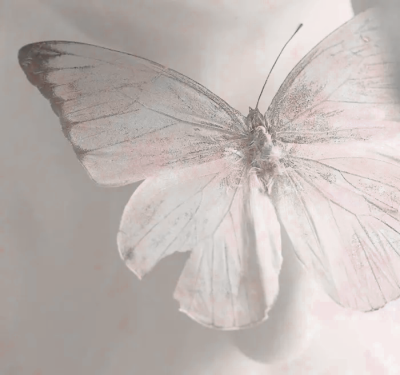 改完了，想拉屎。