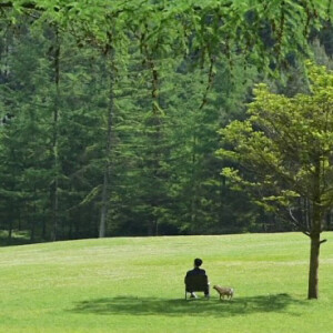 男头绿色背景图片图片