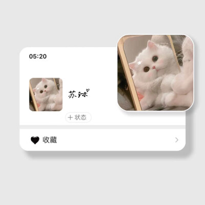 可爱猫猫 我的梦中情猫