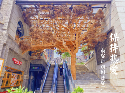 弹子石老街
网红文艺打卡地
情侣闺蜜拍照好地方
