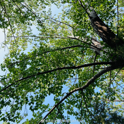 肖战微博
闲暇碎片～