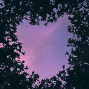 紫色系黄昏壁纸,背景图图源>百度 - 高清图片,堆糖,美图壁纸兴趣社区