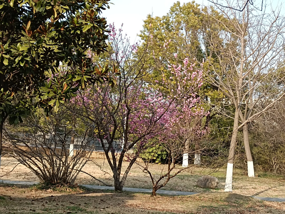 走走停停，抓住亮眼的风景