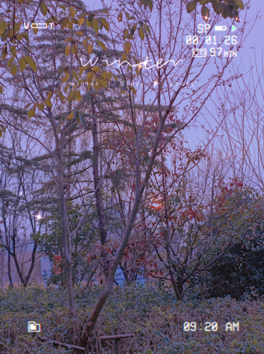 走走停停，抓住亮眼的风景