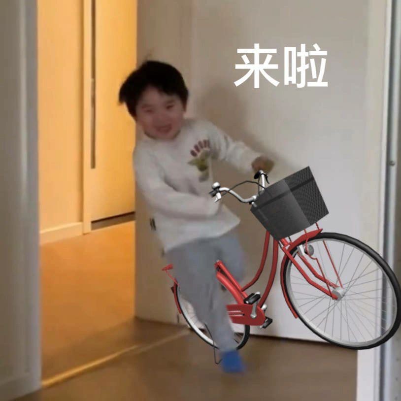 条条