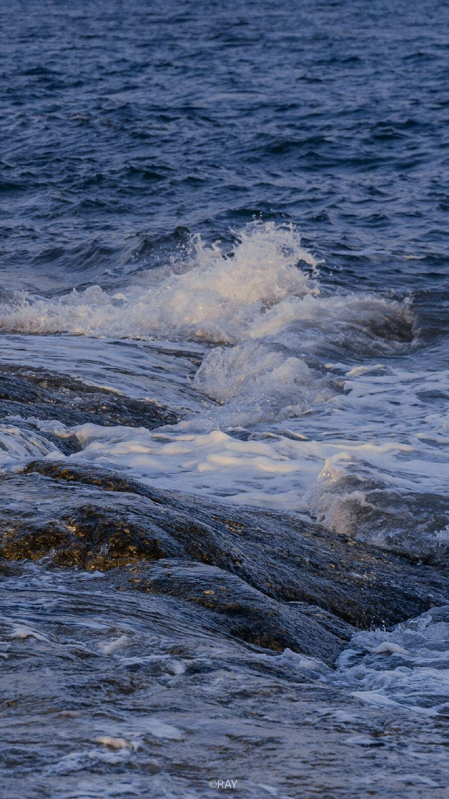 沉溺于海