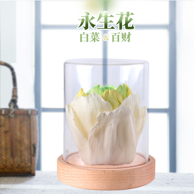 原创 无火香薰精油扩香用白菜花 香水挥发花 香熏干花摆件永生花