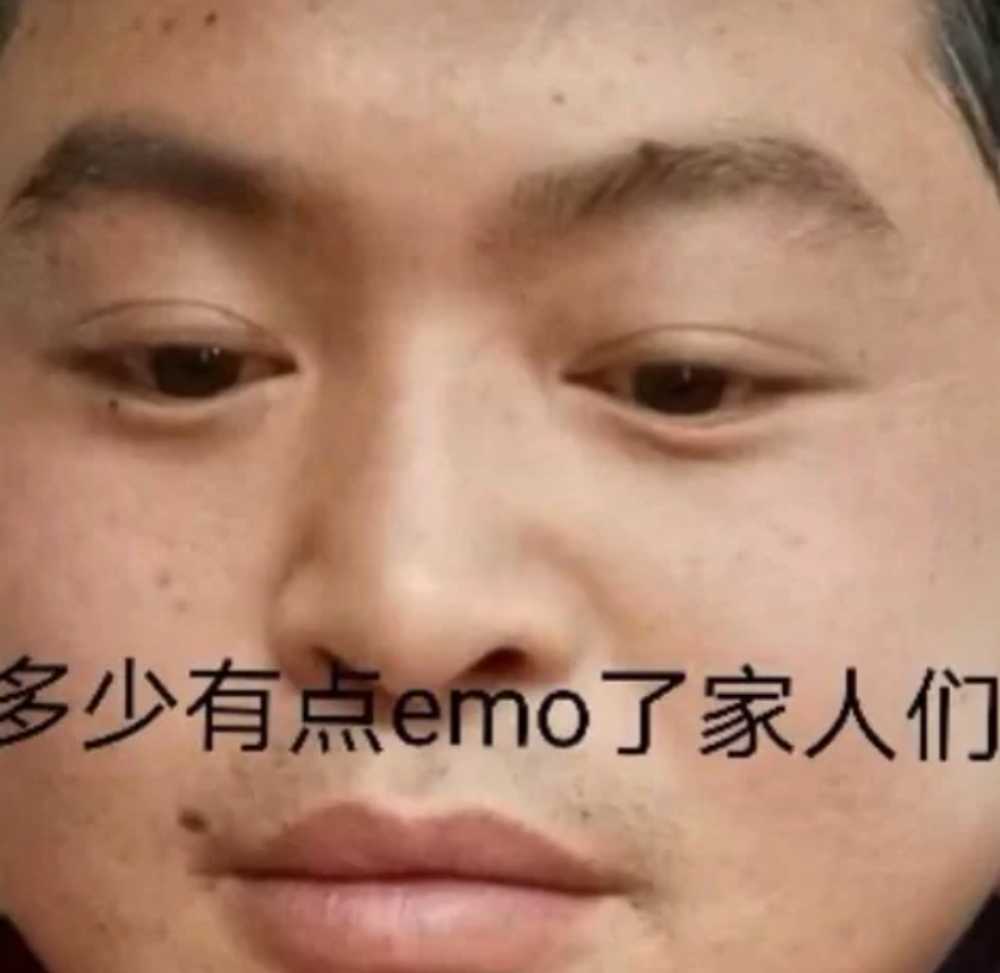 丽丽沙雕表情包