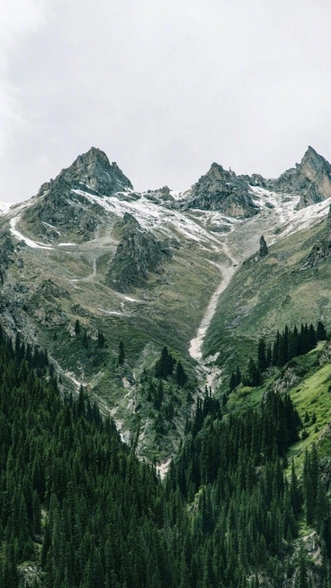 高山流水