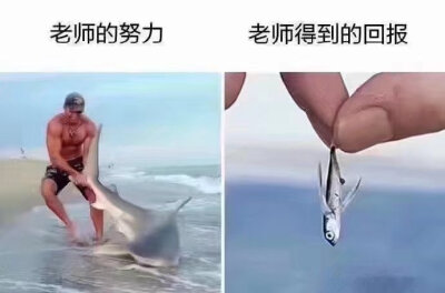 一些梗图