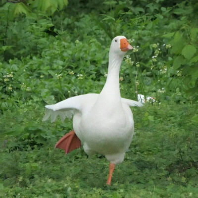 有点意思