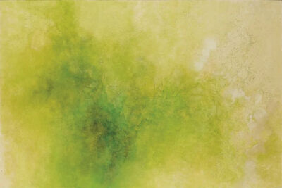 谢景兰《给生态学者的绿色钞票》，布本油彩，130×195cm，1987年