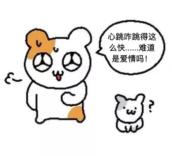 仓鼠햄깅表情包