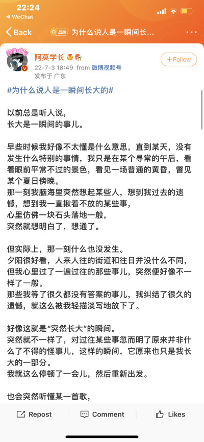 #为什么说人是一瞬间长大的
源wb
文案 句子 感想