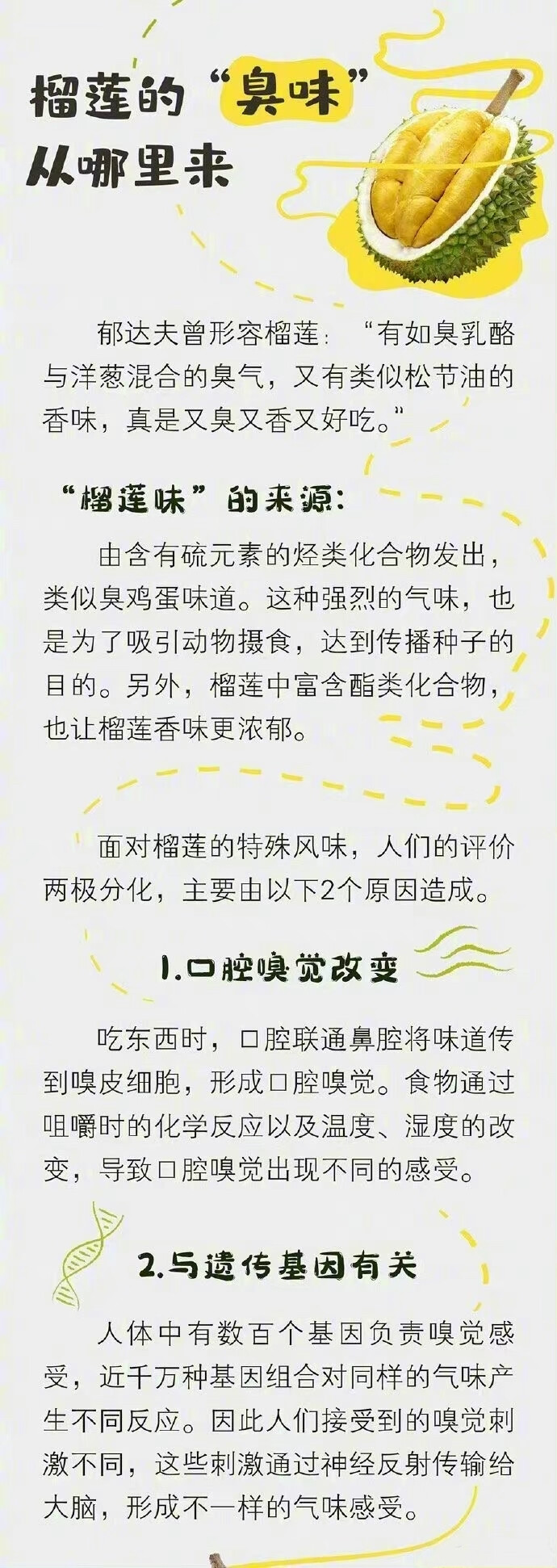 解剖一颗榴莲的营养：榴莲被誉为“水果之王〞，相较其他水果，榴莲除了高营养以外，高能量的特点也很突出。100克榴莲果肉中含：蛋白质2.6克，脂肪3.3克，碳水化合物（糖类）28.35克。