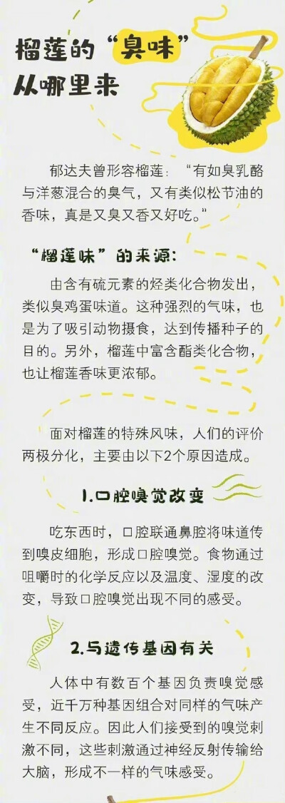 解剖一颗榴莲的营养：榴莲被誉为“水果之王〞，相较其他水果，榴莲除了高营养以外，高能量的特点也很突出。100克榴莲果肉中含：蛋白质2.6克，脂肪3.3克，碳水化合物（糖类）28.35克。