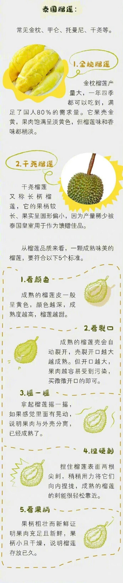 解剖一颗榴莲的营养：榴莲被誉为“水果之王〞，相较其他水果，榴莲除了高营养以外，高能量的特点也很突出。100克榴莲果肉中含：蛋白质2.6克，脂肪3.3克，碳水化合物（糖类）28.35克。