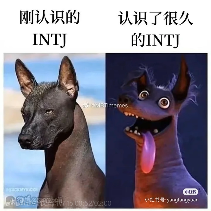 一些有关INTJ的梗图～
（来自于网络）