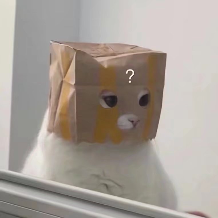 猫猫狗狗