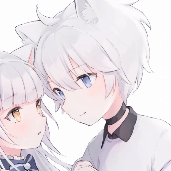 我在等风也等你