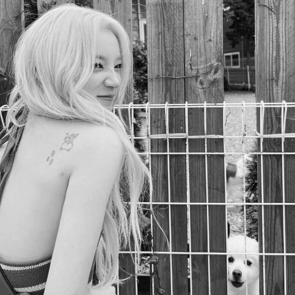  “放我走吧 我不是你的金丝雀”
宋雨琦/颓纪