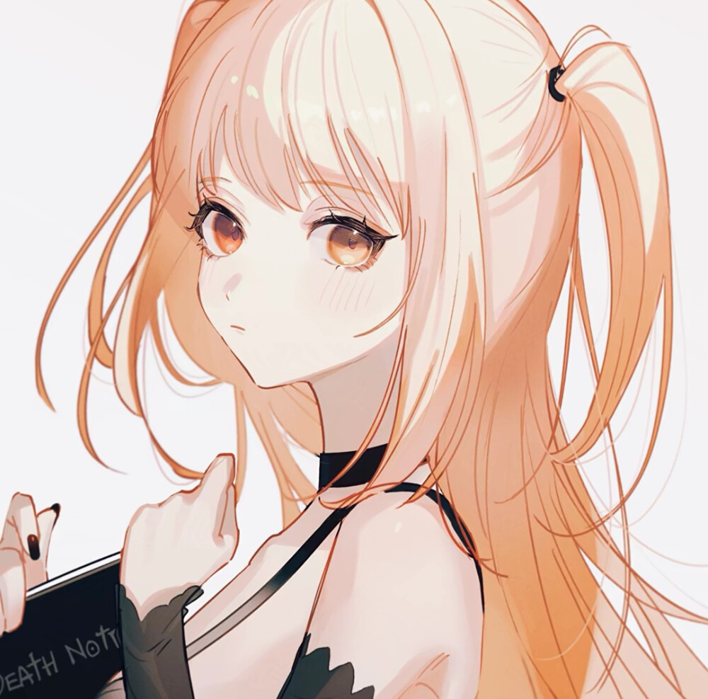 弥海砂 江御的专属