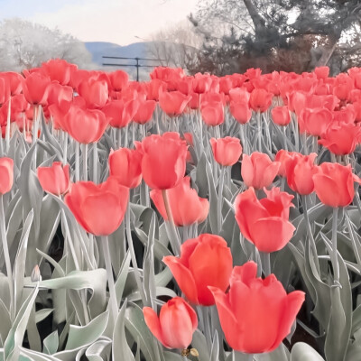 ▷ ⎡夏 日 ·时 刻⎦