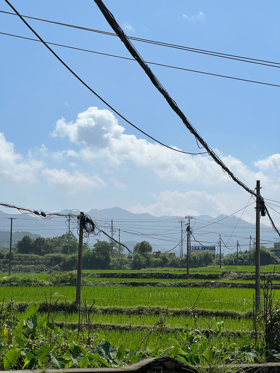 好天气出行
山里田间没有寂寞