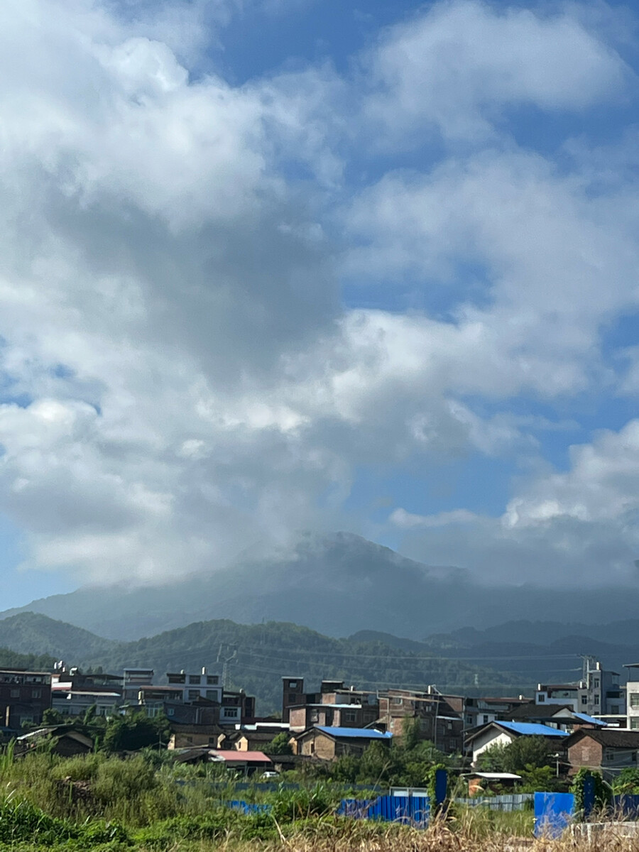 好天气出行
山里田间没有寂寞