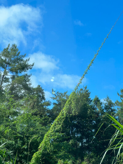 好天气出行
山里田间没有寂寞