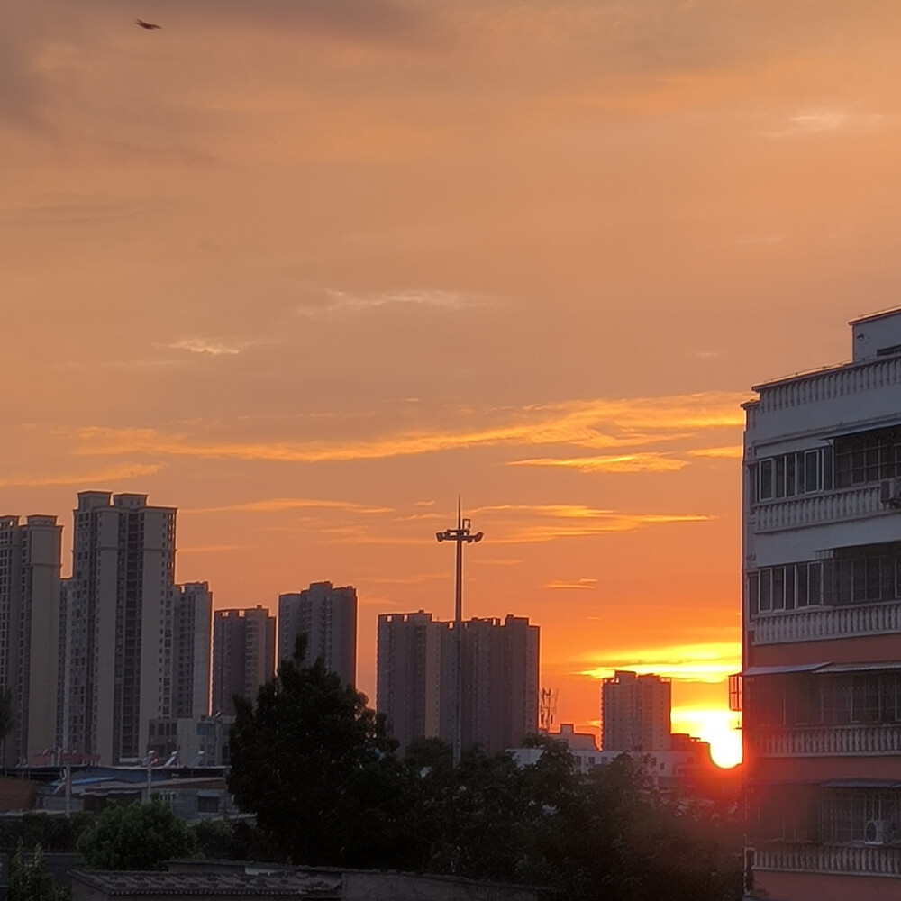 烈日的夕阳是我对你的喜欢逐渐升温