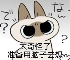 暹罗猫表情包