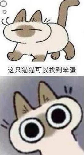 暹罗猫表情包