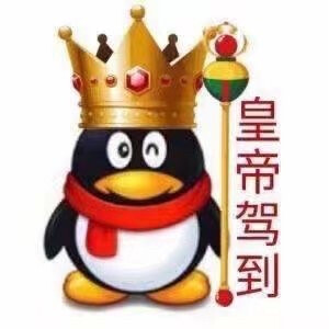 qq 企鹅表情包 表情包