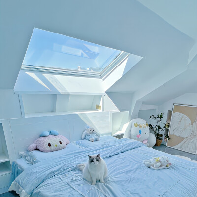 礼貌拿图关注主页