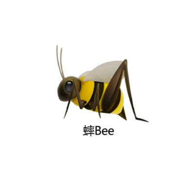 Bee表情包