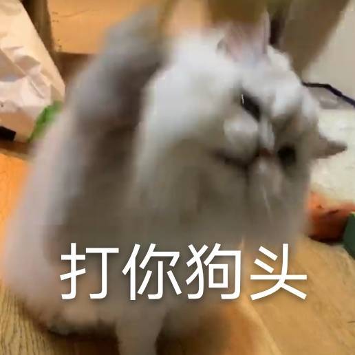更个新~hhhhh 祝周末愉快
