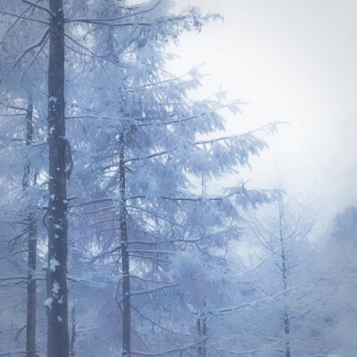 
我是一片雪花坐落在乔戈里峰的处处 在这里 领略到的是自然的奇观和各路纷至沓来的冒险者 惟妙惟肖的景色在我眼前闪过不止数次我常感叹它的神奇 而冒险者无畏挑战的行为让我为之着迷 他们都是乔戈里峰不可缺的