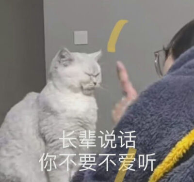 猫咪表情包