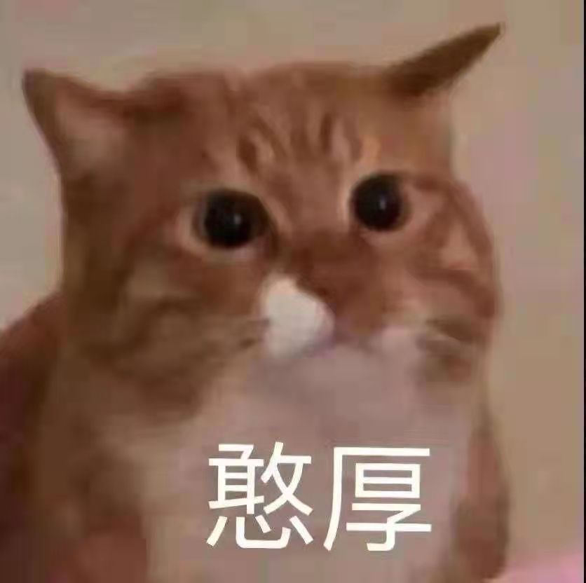 猫咪表情包