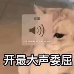 猫咪表情包