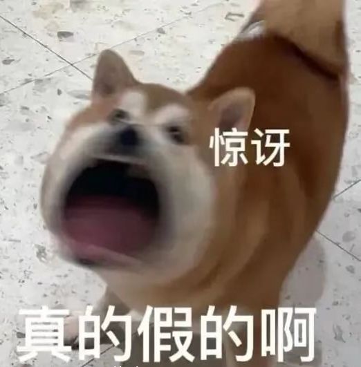 狗狗表情包